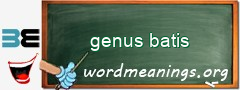 WordMeaning blackboard for genus batis